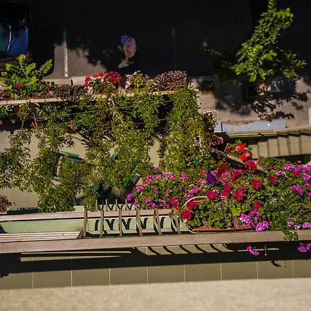 بيت ضيافة ,, Ekaterina