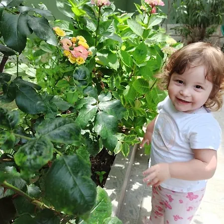 ,, Ekaterina Nessebar
