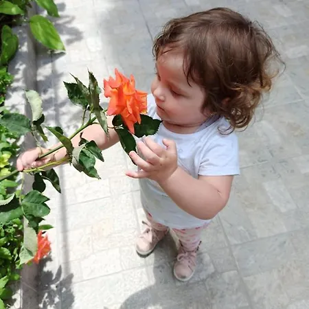 ,, Ekaterina Nessebar