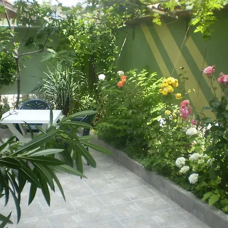 ,, Ekaterina 3* Nessebar