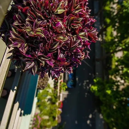Maison d'hôtes ,, Ekaterina 3*